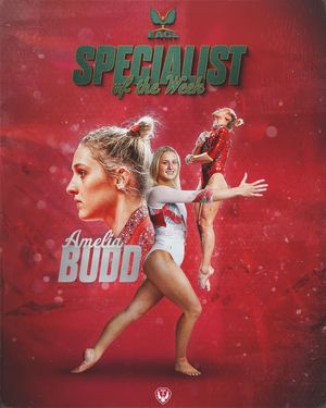 Image post by @templegymnastics on Instagram