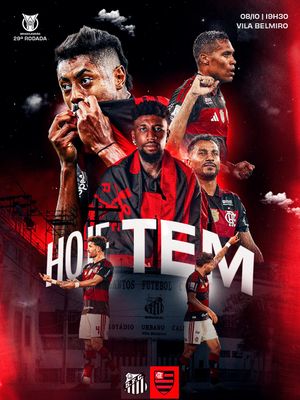 Video post by @flamengo on TikTok