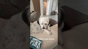 Video post by @bethennyfrankel on YouTube