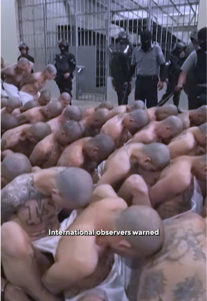 Video post by @60minutes on TikTok