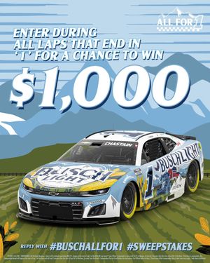 Image post by @BuschBeer on Twitter