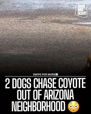Image post by @downinnadesert on Instagram