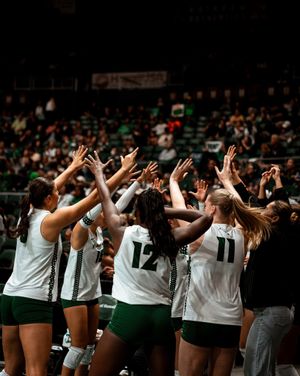 Image post by @hawaiiwvb on Instagram
