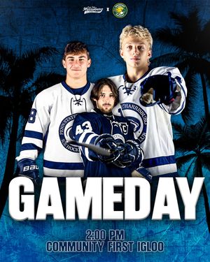 Image post by @pennstateharrisburghockey on Instagram