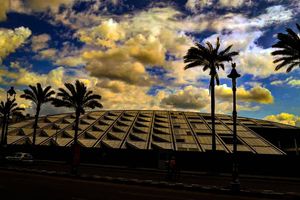 Image post by @faragelo22 on Instagram