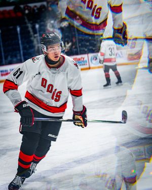 Image post by @ohlicedogs on Instagram