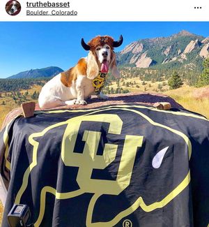 Image post by @cubuffs on Instagram