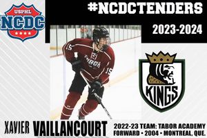Image post by @usphlhockey on Instagram