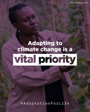 Image post by @unfoundation on Twitter