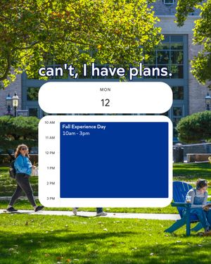 Image post by @hofstrau on Instagram