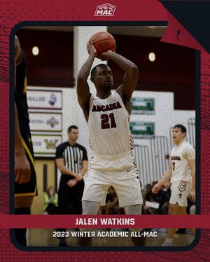 Image post by @arcadia_knights on Instagram