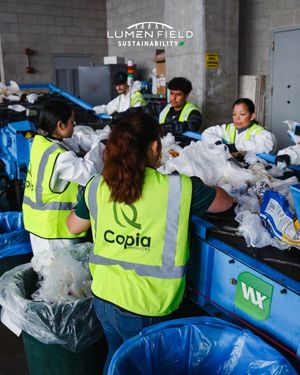 Image post by @lumenfield on Instagram