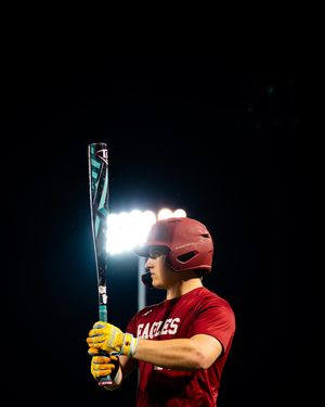 Image post by @bcbirdball on Instagram