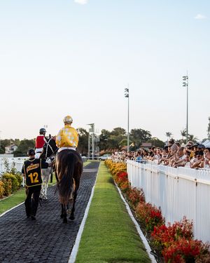 Image post by @australianturfclub on Instagram