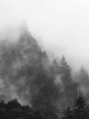 Image post by @jpotterphoto on Instagram