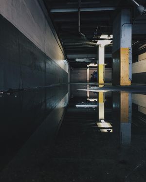 Image post by @mushlik on Instagram