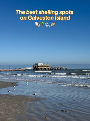Image post by @galvestonisland on Instagram