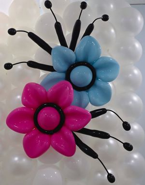 Image post by @soprettyballoons on Instagram