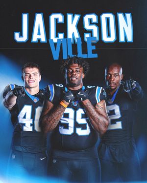 Image post by @panthers on Instagram