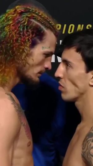 Video post by @ufc on TikTok