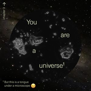 Image post by @seed on Instagram