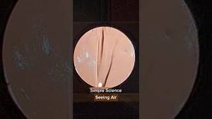 Video post by @kiwico on YouTube