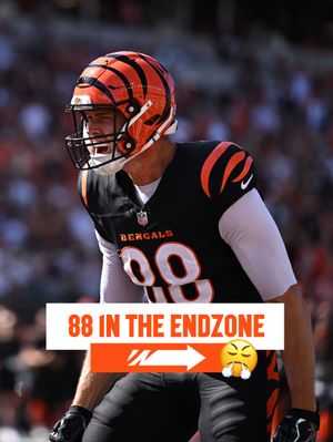 Image post by @bengals on Instagram