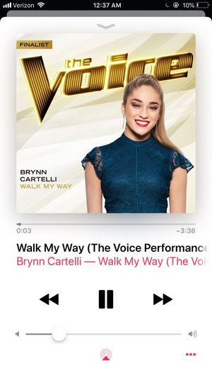 Image post by @BrynnCartelli on Twitter