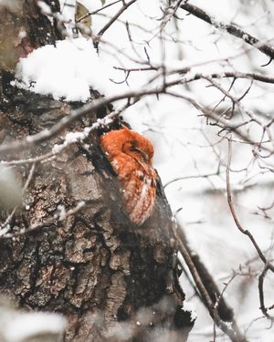 Image post by @matt.jwood on Instagram