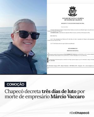 Image post by @dechapeco on Instagram