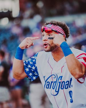 Image post by @GoYardGoats on Twitter/X