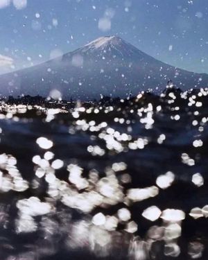 Image post by @fubiz on Instagram