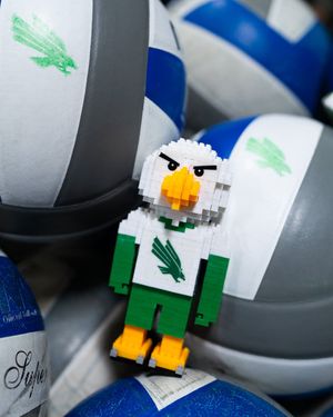 Image post by @MeanGreenVB on Twitter/X