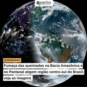Image post by @operitoambiental on Instagram