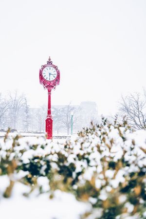 Image post by @alexpaulphoto on Twitter