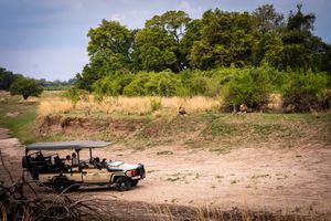 Image post by @chiawasafaris on Instagram