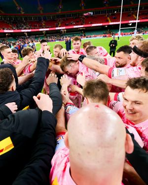 Image post by @harlequins on Instagram