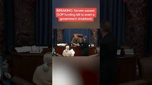 Video post by @msnbc on YouTube