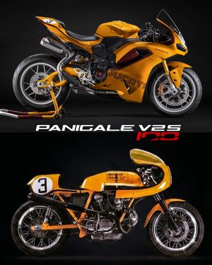 Image post by @panigalers on Instagram