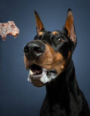 Image post by @saintroccostreats on Instagram