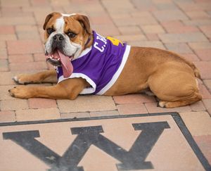 Image post by @westerniluniv on Instagram