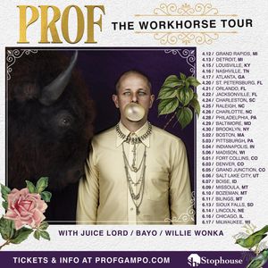 Image post by @profgampo on Instagram