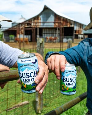 Image post by @BuschBeer on Twitter/X