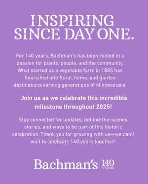 Image post by @shopbachmans on Instagram