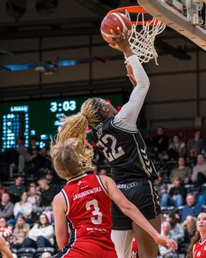 Image post by @gary__forster on Instagram