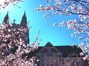 Image post by @bccampusmin on Instagram