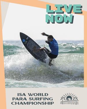 Image post by @isasurfing on Instagram