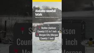 Video post by @aldotcom on YouTube