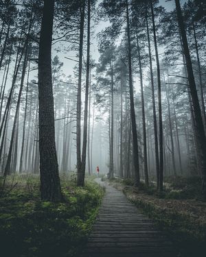 Image post by @kszczuka on Instagram