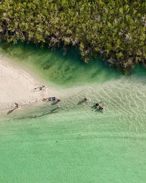 Image post by @visitsarasotacounty on Instagram